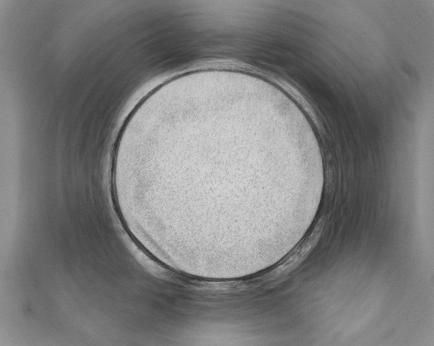 X0000111041438200908061448