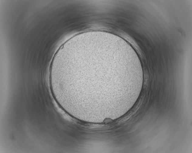 X0000111041439200908061448