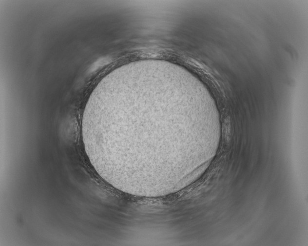 X0000111041446200908061447