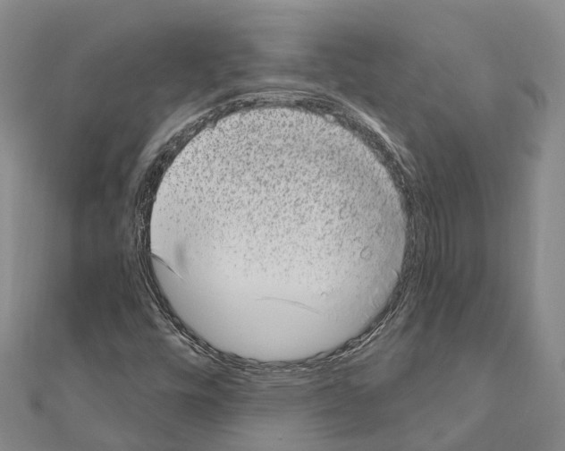 X0000111041448200908061447