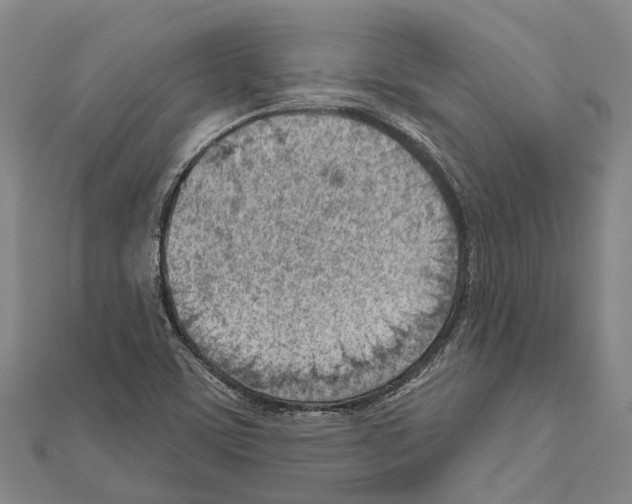 X0000111041459200908061447