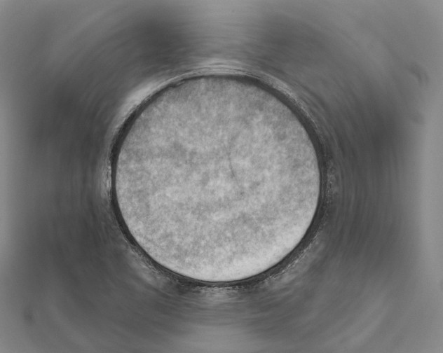 X0000111041461200908061447