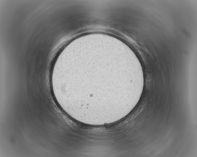 X0000111041464200908061447