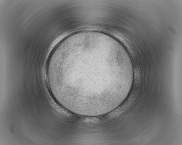 X0000111041466200908061447