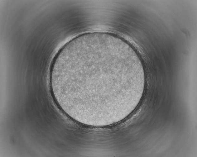 X0000111041469200908061447