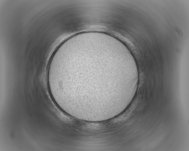 X0000111041470200908061447