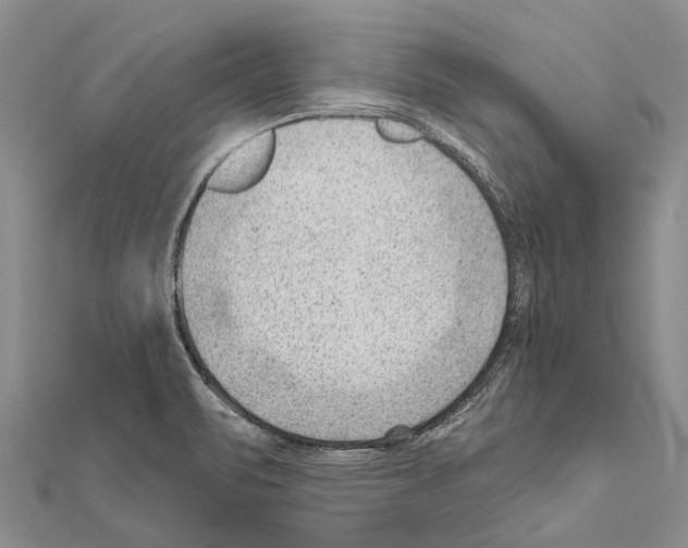 X0000111041471200908061447