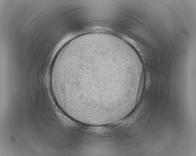 X0000111041474200908061447