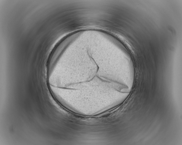 X0000111041476200908061447