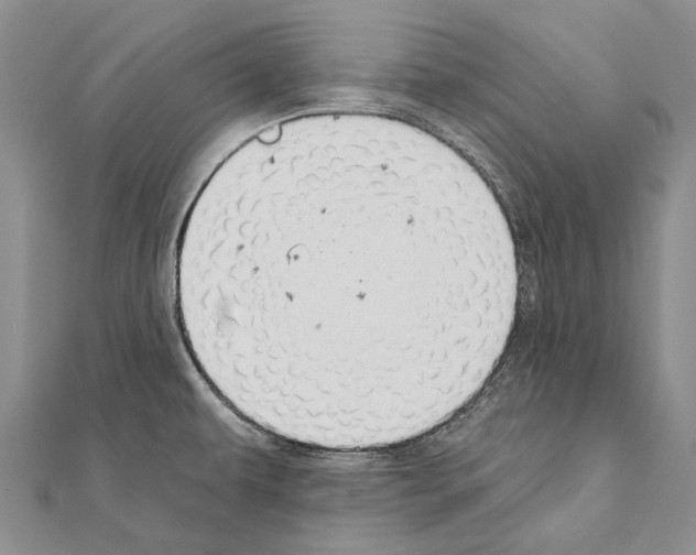 X0000111041479200908061447