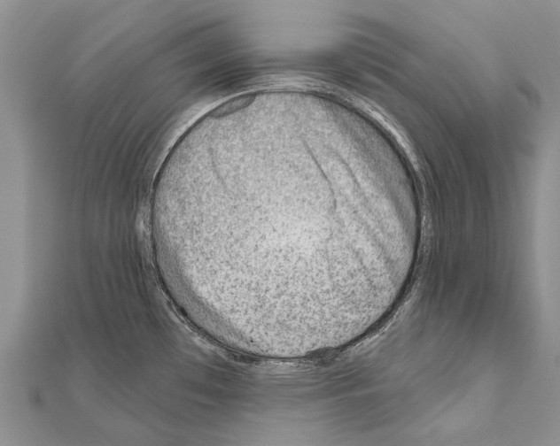 X0000111041481200908061447