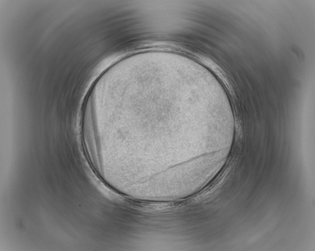 X0000111041482200908061447