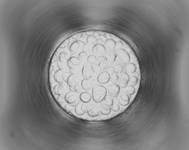 X0000111041483200908061447