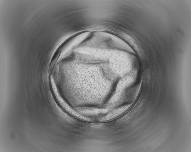 X0000111041484200908061447