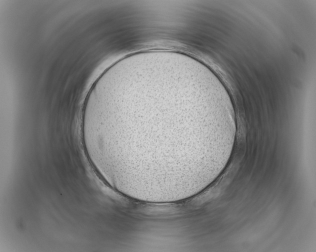 X0000111041486200908061446