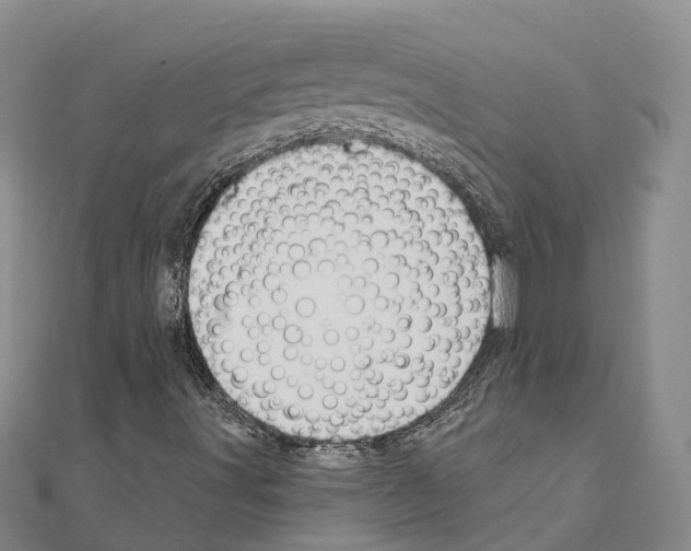 X0000111041491200908061446