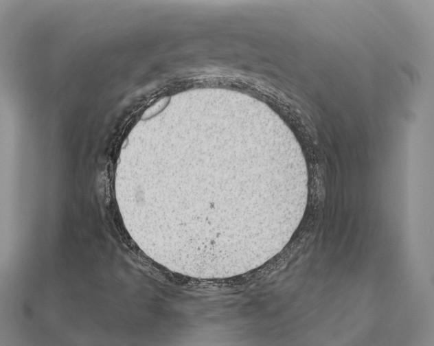 X0000111041493200908061446