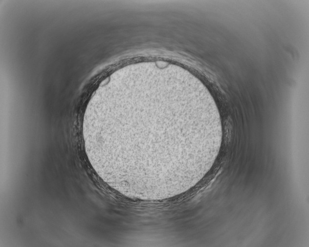 X0000111041494200908061446