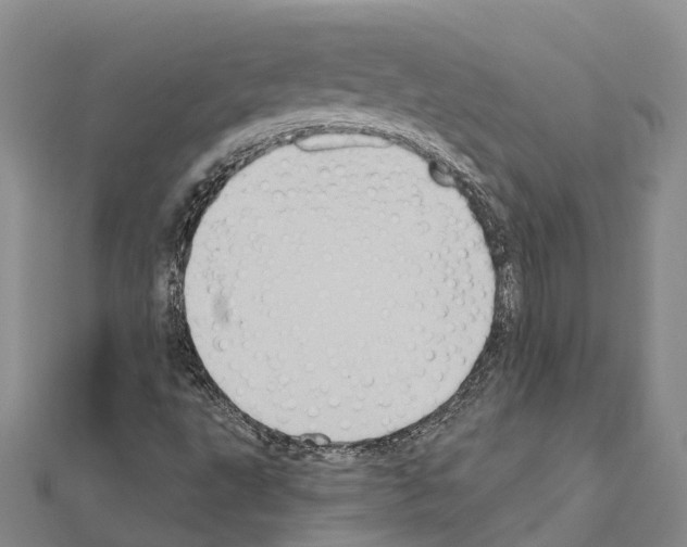 X0000111041495200908061446