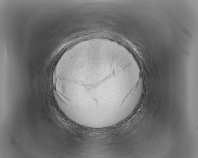 X0000111041496200908061446