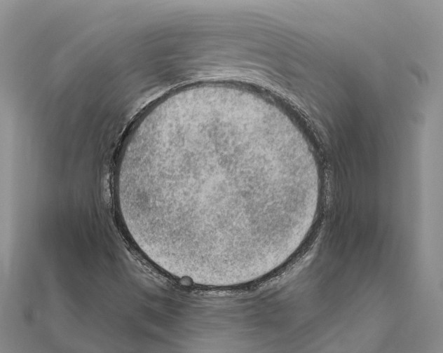 X0000111041497200908061446