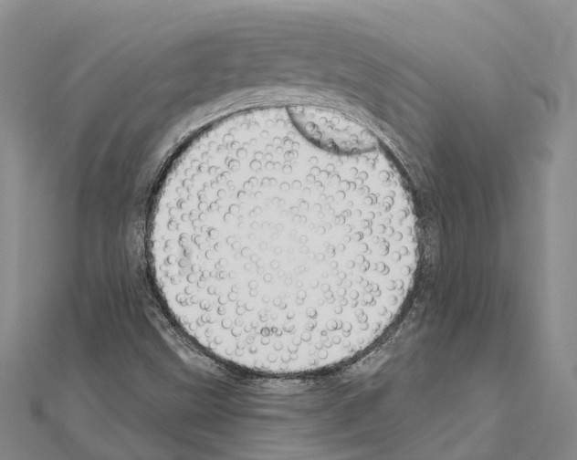 X0000111041499200908061446