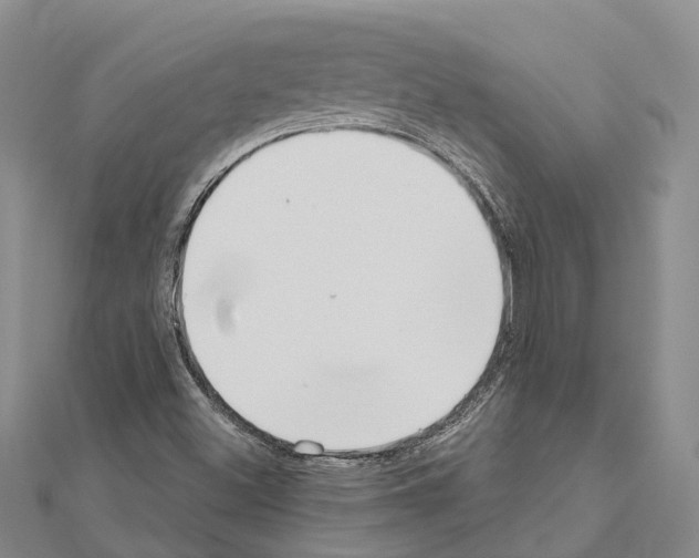 X0000111041500200908061446