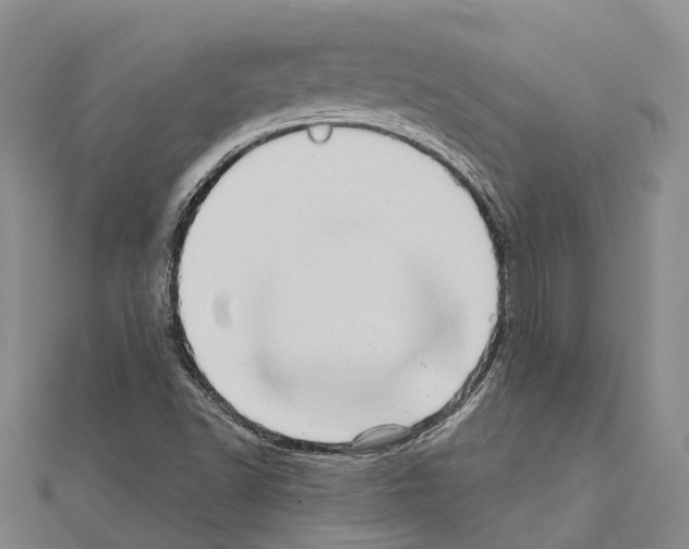 X0000111041502200908061446