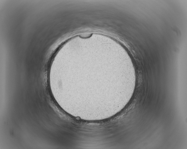 X0000111041503200908061446