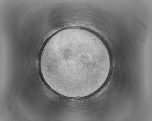 X0000111041505200908061446