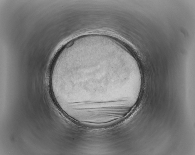 X0000111041506200908061446