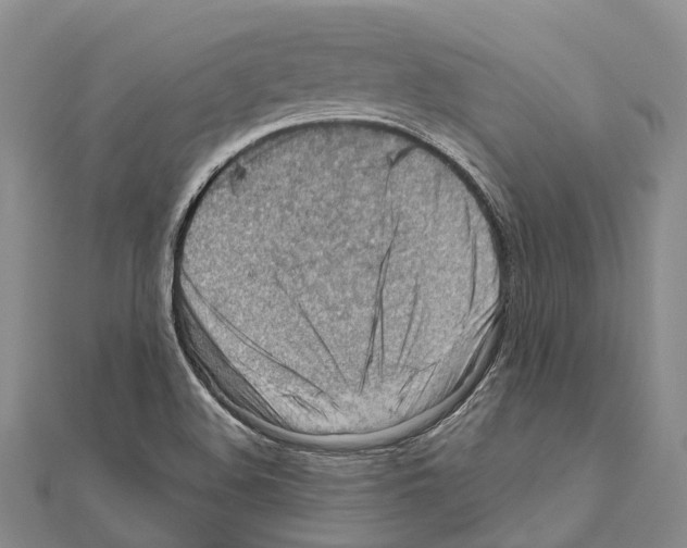 X0000111041508200908061446