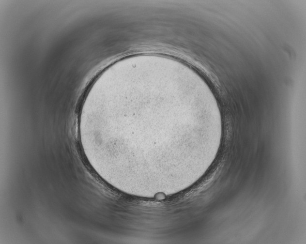 X0000111041509200908061446