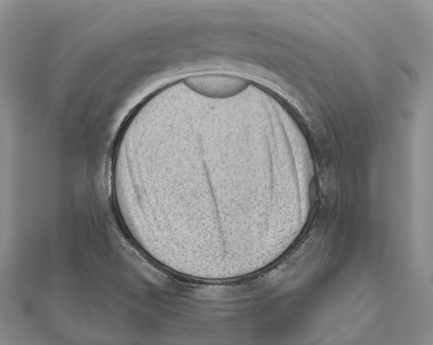 X0000111041510200908061446