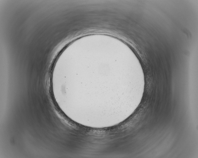 X0000111041511200908061446