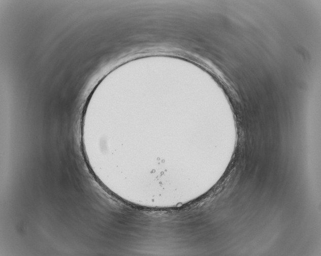 X0000111041512200908061446