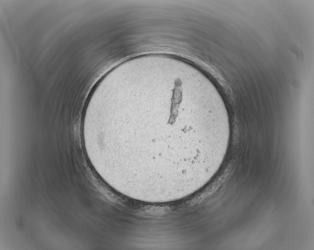 X0000111041513200908061446