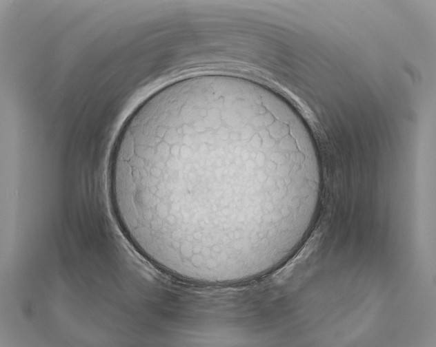 X0000111041514200908061446