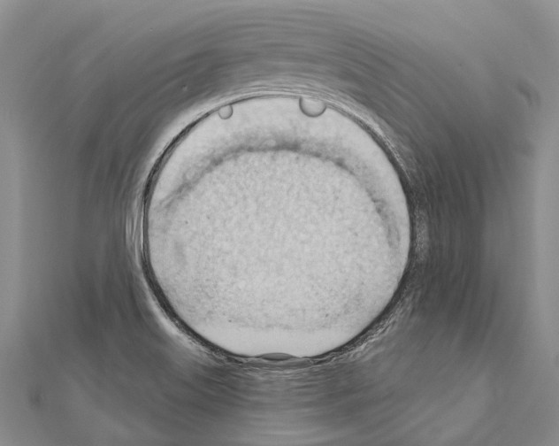 X0000111041515200908061446