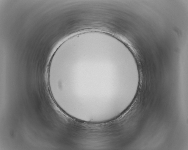 X0000111041516200908061446