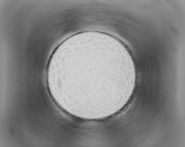 X0000111041517200908061446