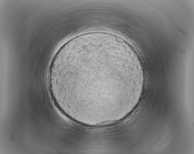 X0000111041519200908061446