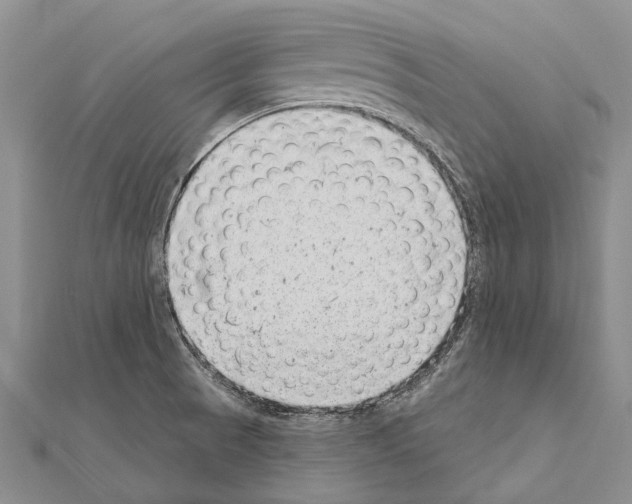 X0000111041521200908061446