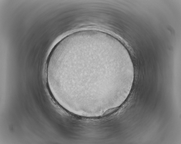 X0000111041522200908061446