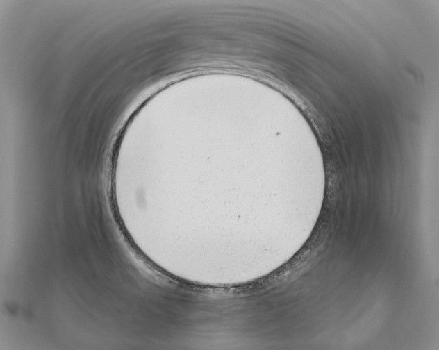 X0000111041523200908061446