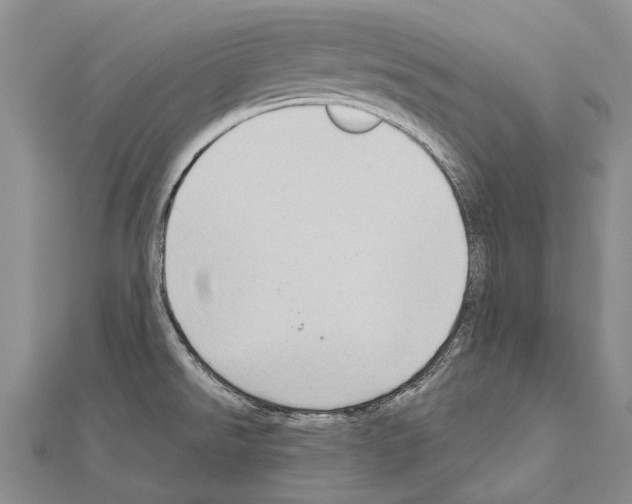 X0000111041526200908061446