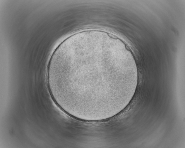 X0000111041527200908061446