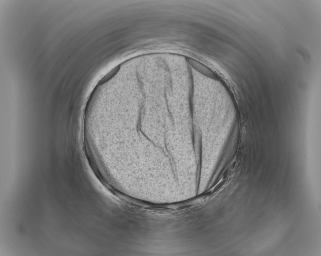 X0000111041528200908061446