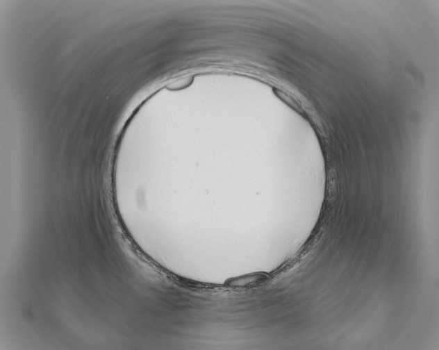 X0000111041530200908061446