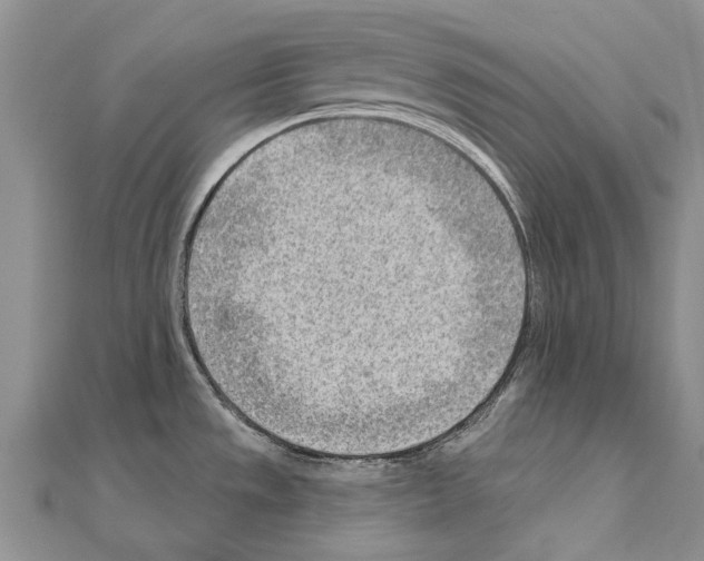 X0000111041533200908061446